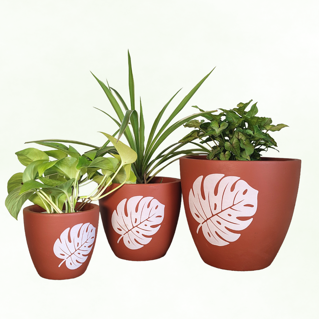 Kornet Leafy Textured Terracotta Pot ( Set of 3 )