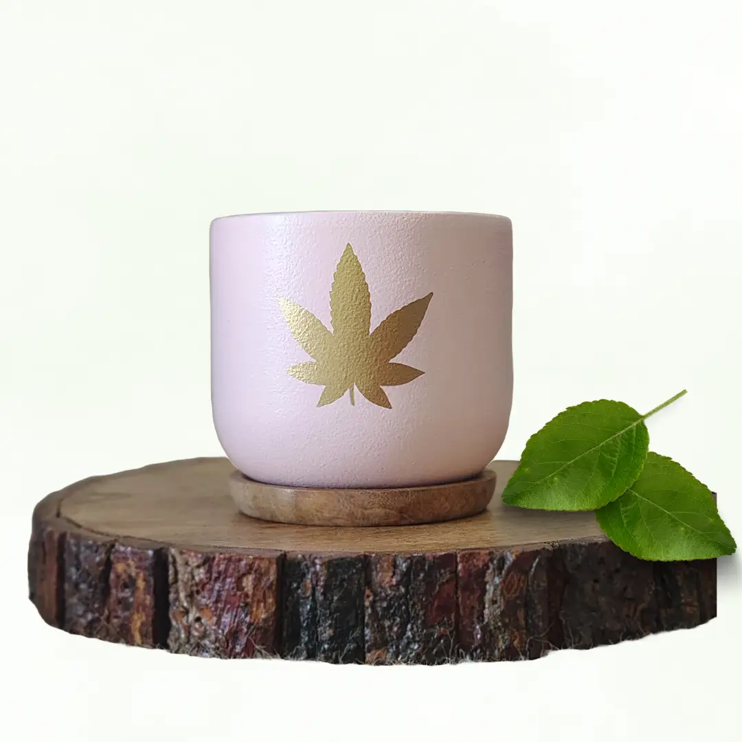 Kyna Autumn Leaf Terracotta Pot-Pink