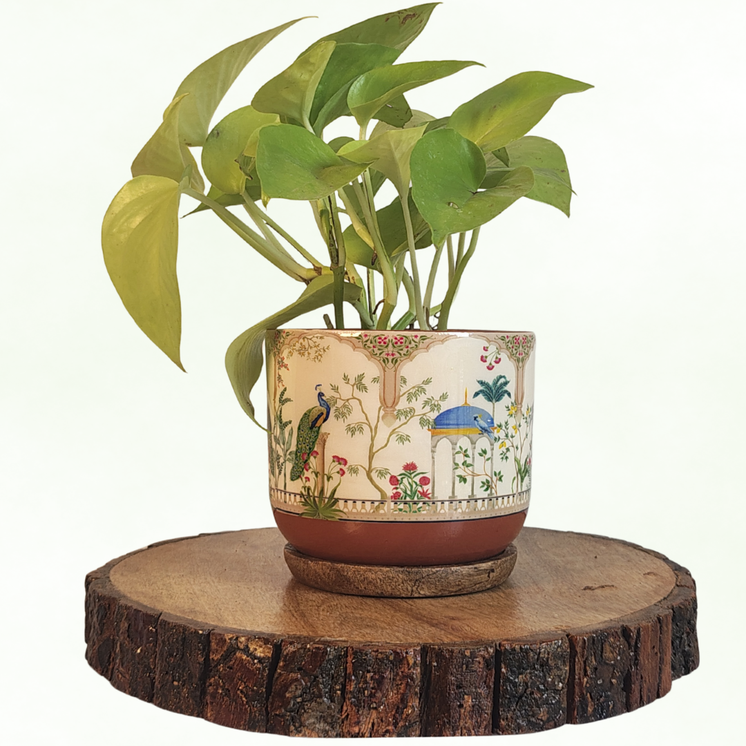Kyna Garden Whisper Terracotta Pot