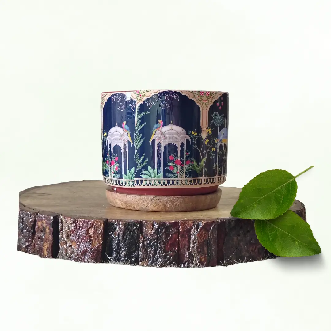 Sill Peacock Royale Terracotta Pot