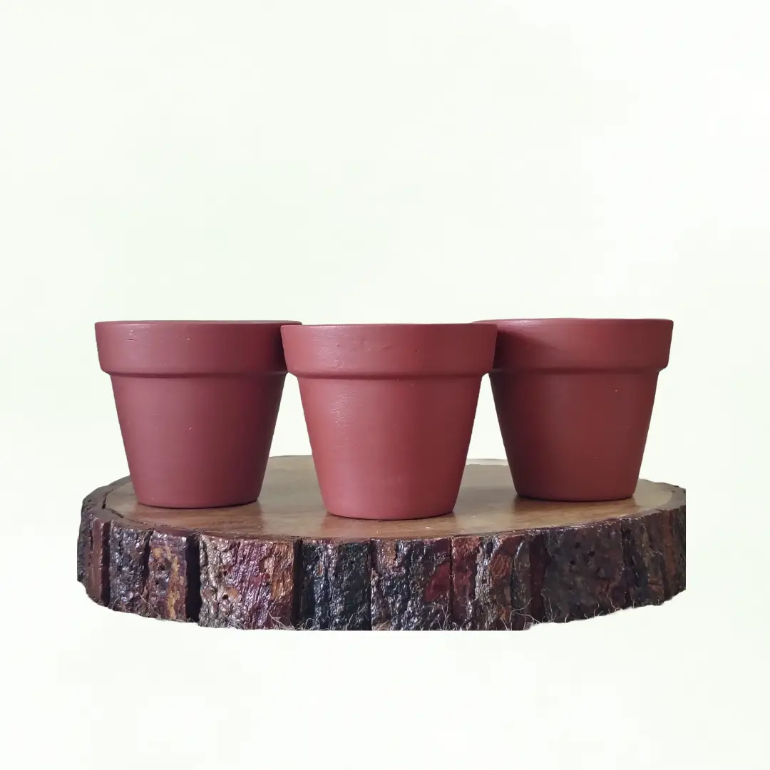 Mini Basica Terracotta Pot (Set of 3)