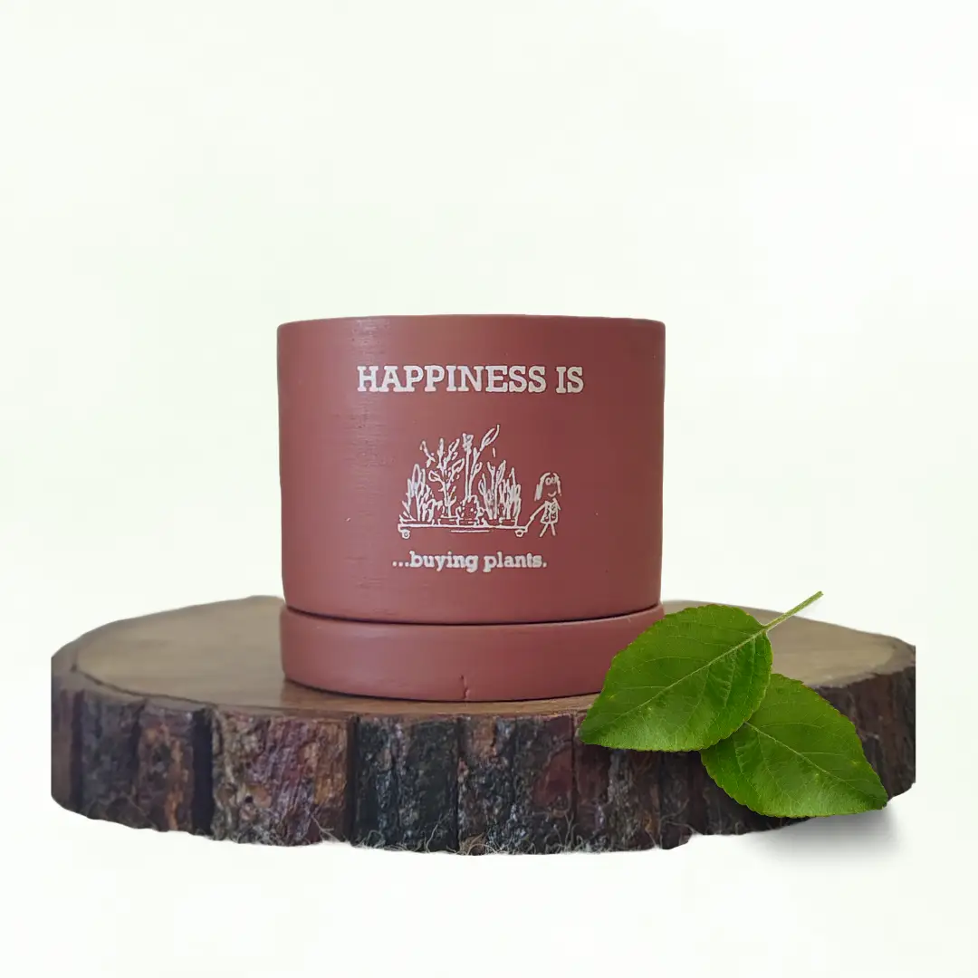 Sill Raw Terracotta Pot (